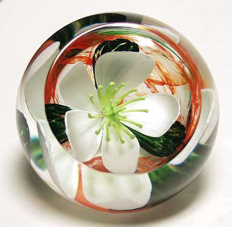 Caithness Paperweight Festive Rose - Boxed