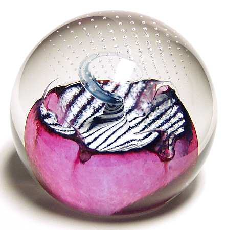 Caithness Paperweight Silkie Pink - Boxed
