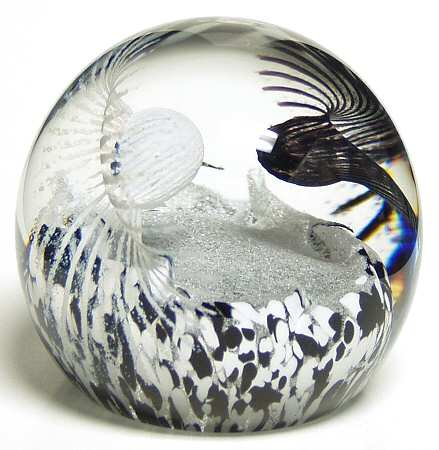 Caithness Paperweight Luscious Lashes-Black & White - Boxed