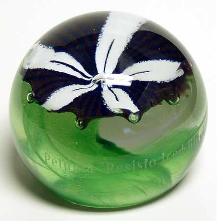 Caithness Paperweight Petunia-Botanical Studies - Boxed