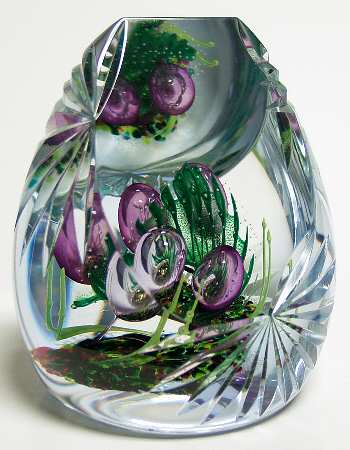 Caithness Paperweight Borneo - With Box