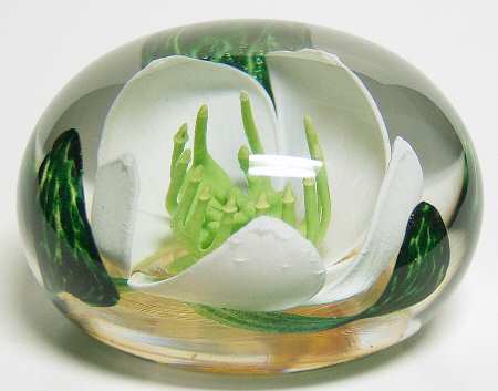 Caithness Paperweight Winter Rose - With Box
