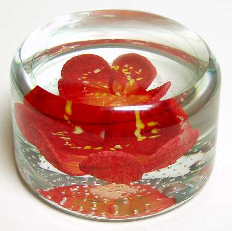 Caithness Paperweight Tropical Wonder-Floral Garden - With Box