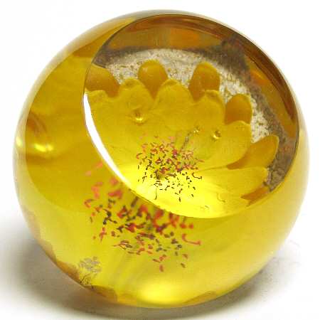 Caithness Paperweight Sunflower - Wtih Box Bx376
