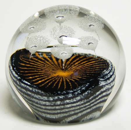 Caithness Paperweight Seeds Of Time - With Box Bx388