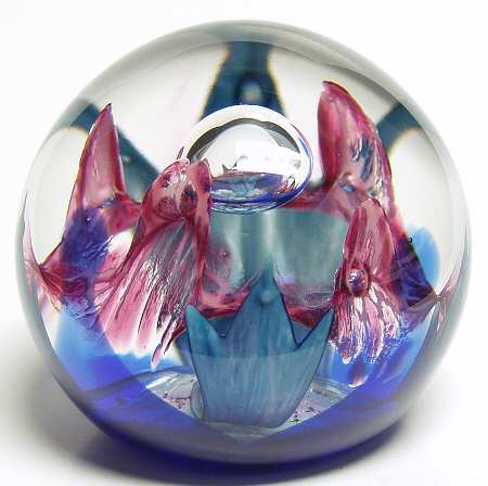 Caithness Paperweight Wisdom - Boxed