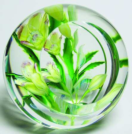Caithness Paperweight Hellebore - With Box