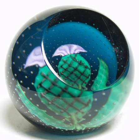 Caithness Paperweight Alba Kingfisher - Boxed