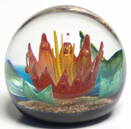 Caithness Paperweight Selene - With Box-Bx555