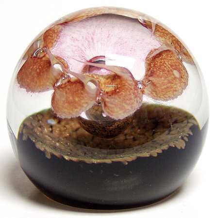 Caithness Paperweight Cosmic Crown - Boxed