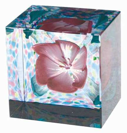 Caithness Paperweight Alfresco-Pink - With Box Bx696