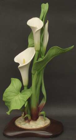 Floral Studies Calla Lily - No Box