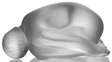 Nudes Nude Resting - Clear - Boxed