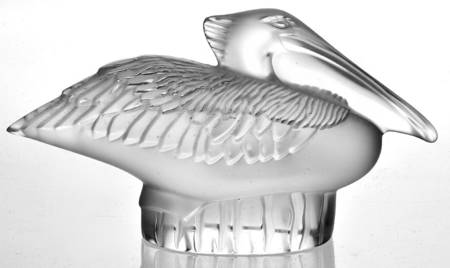 Birds Pelican - No Box