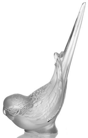 Birds Parakeet Head Down - No Box