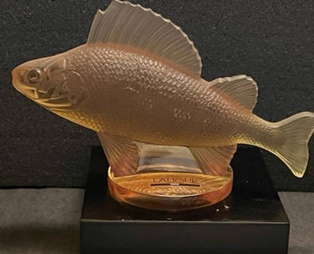 Animals - Other Perch Fish - Amber - Boxed
