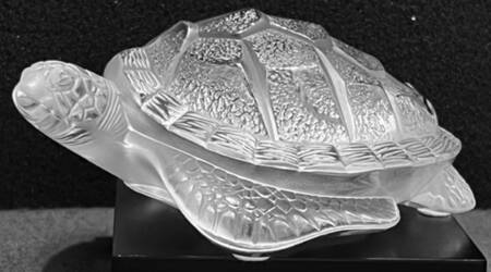 Animals - Other Caretta Turtle-Clear - Boxed