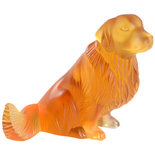 Animals-Domestic Golden Retriever - Amber - Boxed