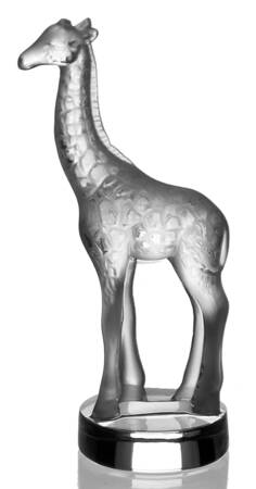 Animals Wild Giraffe Seal - Boxed