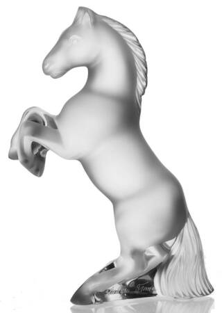 Animals-Domestic Rearing Horse - No Box