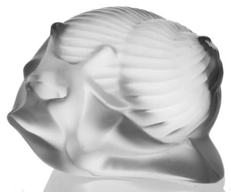 Animals - Other Helix Snail - Clear - Boxed