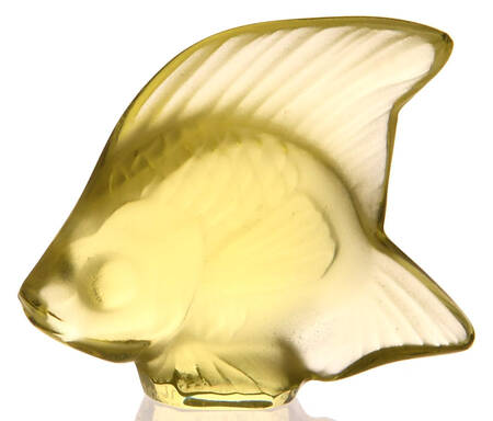 Aquarium Fish Fish - Yellow Sun - Boxed