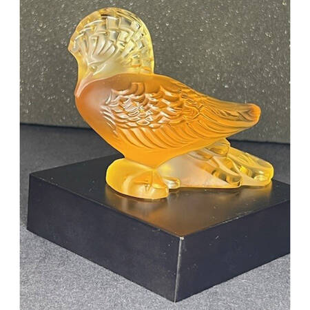 Birds Goura - Amber - Boxed