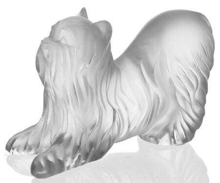 Animals-Domestic Yorkshire - Kneeling - Boxed