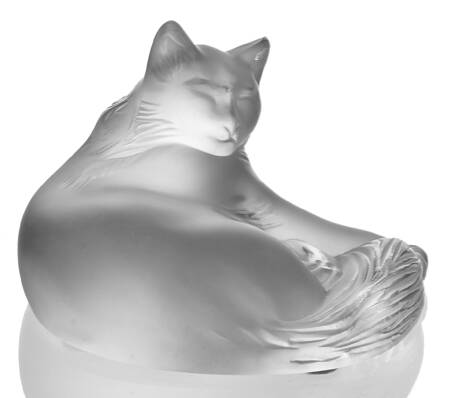 Animals-Domestic Happy Cat - Boxed