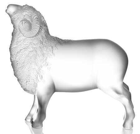 Animals-Domestic Ram - Boxed