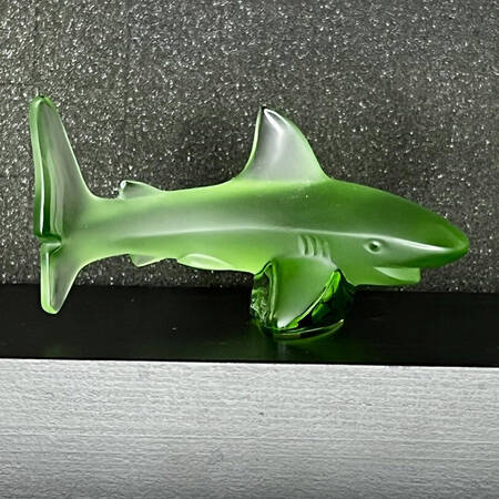 Animals - Other Shark Atlantis - Green - Boxed