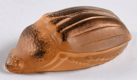 Insects & Butterflies Scarab Meloe-Orange/Bronze - Boxed