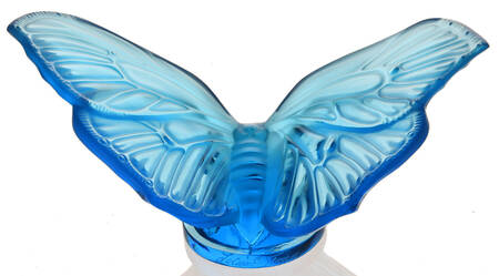 Insects & Butterflies Butterfly Aurore - Blue - Boxed