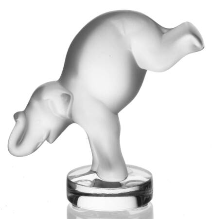 Animals Wild Elephant Seal - Boxed