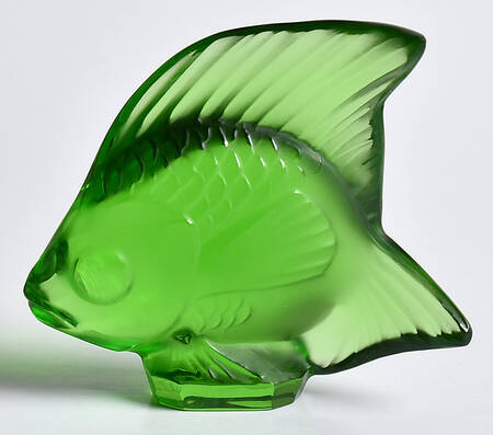 Aquarium Fish Fish - Green Amazon - Boxed