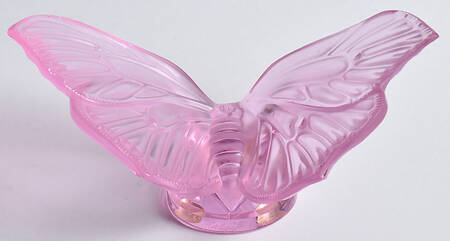 Insects & Butterflies Butterfly- Aurore - Pink - Boxed