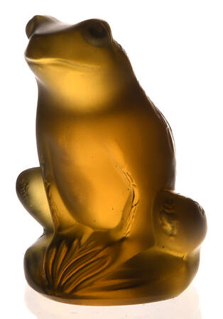 Animals - Other Frog Sitting - Marrakech - Boxed