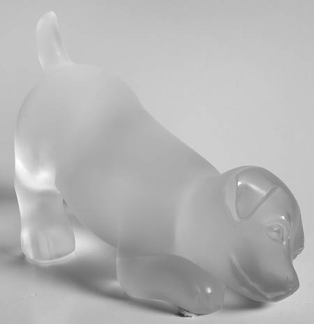 Animals-Domestic Sweety Mischievious Puppy - No Box