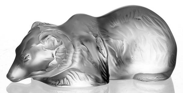 Animals Wild Ouki Bear - Resting-Clear - Boxed