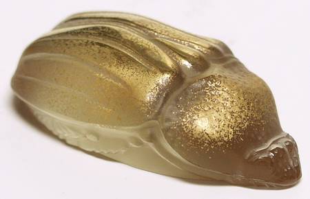 Insects & Butterflies Scarab Meloe-Champagne/Gold - Boxed