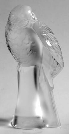 Birds Parakeet Open Wing - Boxed