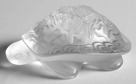 Animals - Other Sidonie Turtle - Clear - Boxed