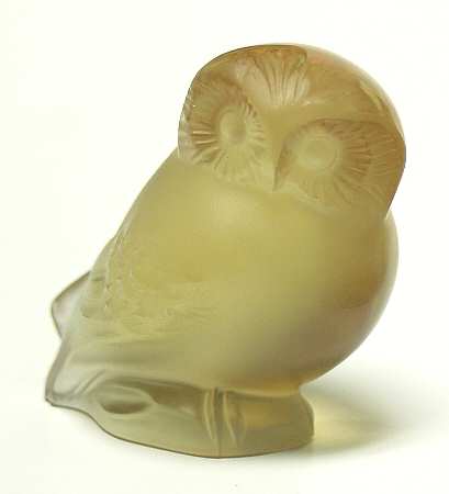 Birds Owl Nyctal - Champagne - Boxed