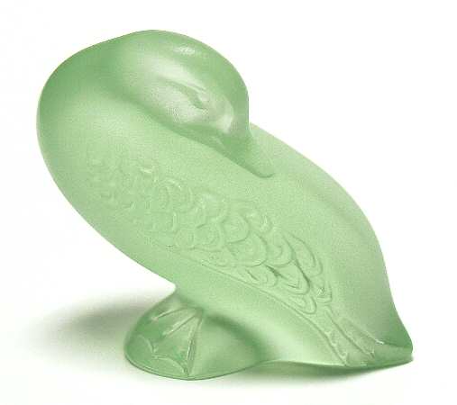Birds Naughty Duck - Light Green - Boxed