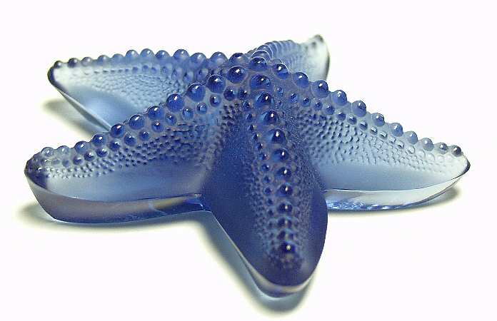 Animals - Other Starfish Oceania - Blue - Boxed
