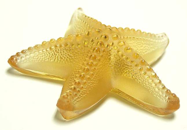 Animals - Other Starfish Oceania - Amber - Boxed
