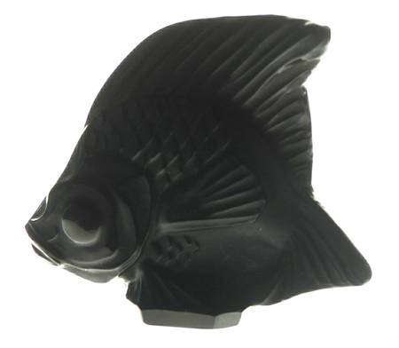 Aquarium Fish Fish - Black - Boxed