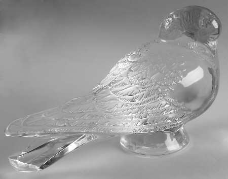 Birds Pigeon - Head Up - Boxed