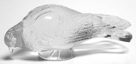 Birds Pigeon - Head Down - Boxed