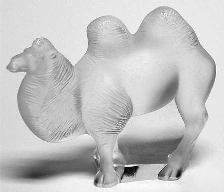 Animals Wild Camel-Standing-Head Level - Boxed